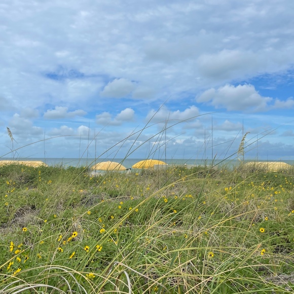 Meet your Posher, Susanne - Picture 1 of 1